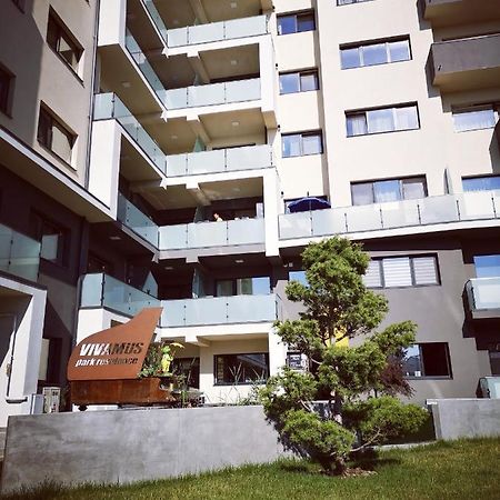 Vivamus Studio Braşov Exteriör bild