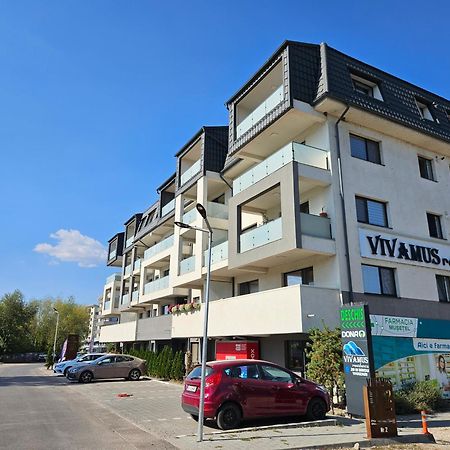 Vivamus Studio Braşov Exteriör bild