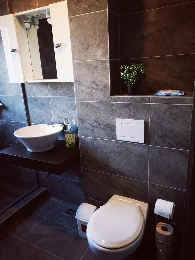 Vivamus Studio Braşov Exteriör bild