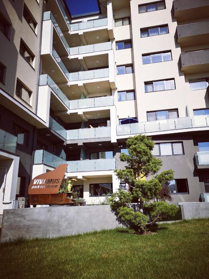Vivamus Studio Braşov Exteriör bild