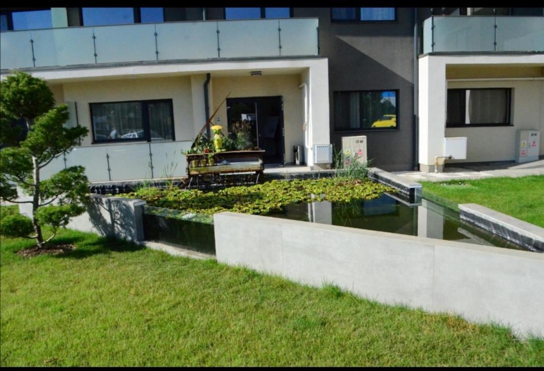 Vivamus Studio Braşov Exteriör bild