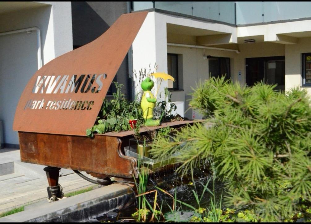 Vivamus Studio Braşov Exteriör bild