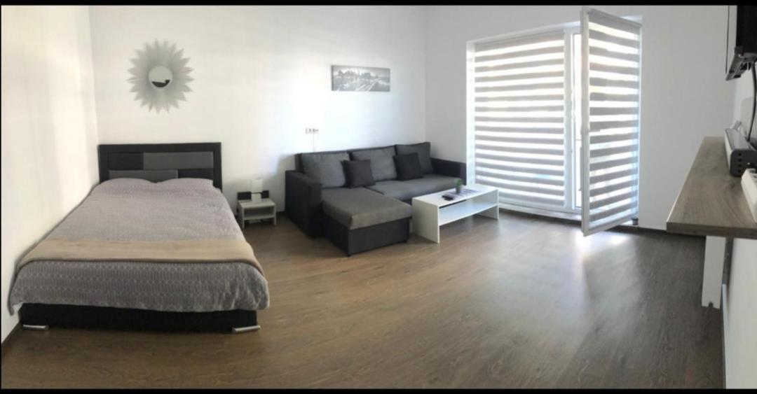 Vivamus Studio Braşov Exteriör bild