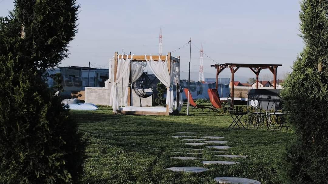 Vivamus Studio Braşov Exteriör bild