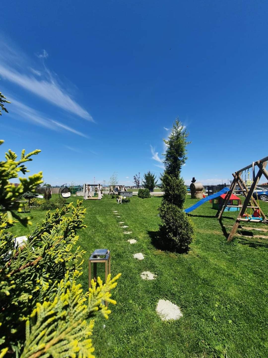 Vivamus Studio Braşov Exteriör bild