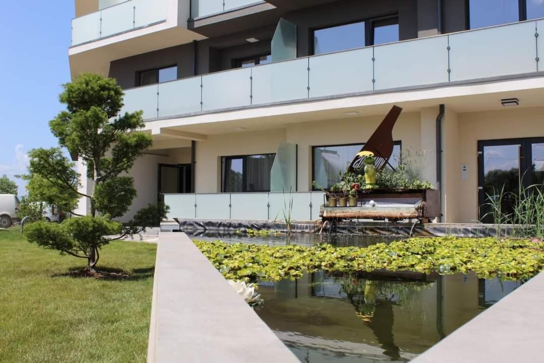 Vivamus Studio Braşov Exteriör bild